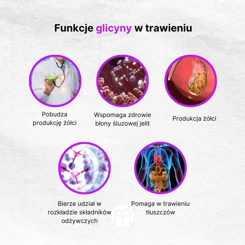 (Polština) Funkce glycinu v trávení